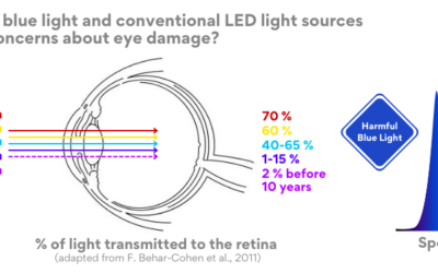 Should blue light and conventional LED sources raise concerns about damage to the retina of the eye? New studies show that yes