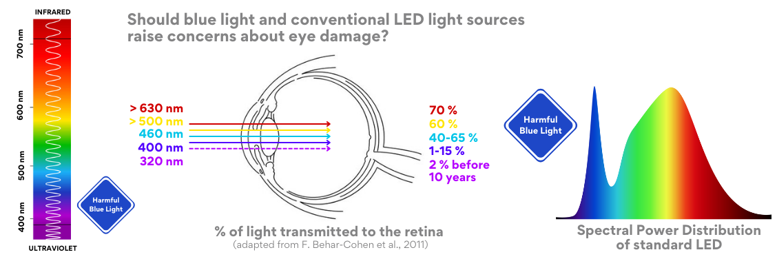 Should blue light and conventional LED sources raise concerns about damage to the retina of the eye? New studies show that yes