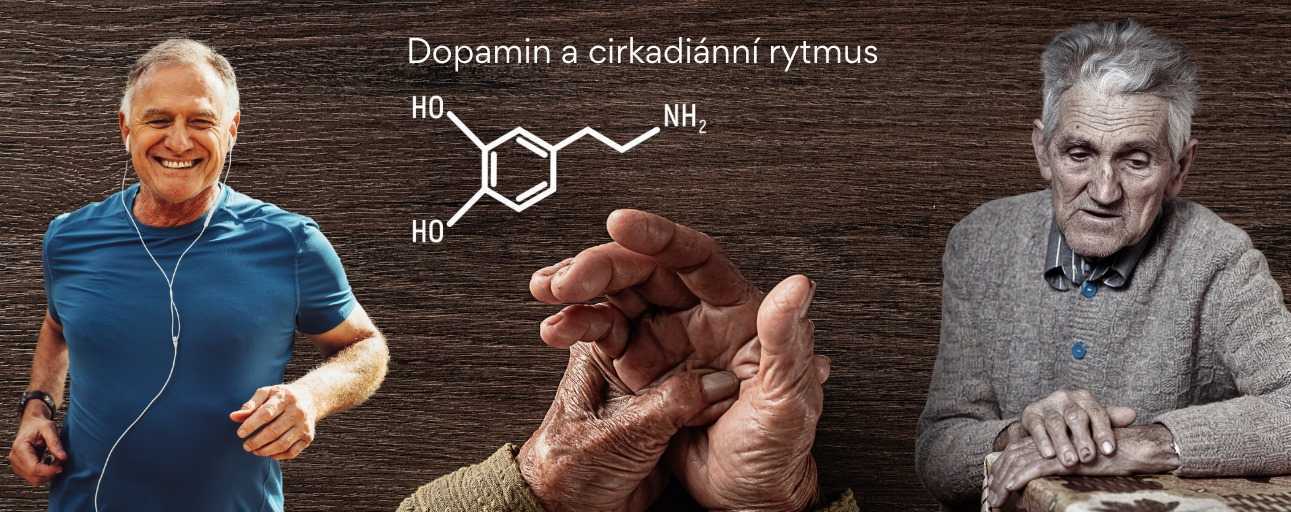 Dopamine and its role in the circadian rhythm, or is it the other way around? How the circadian rhythm is connected to our mood