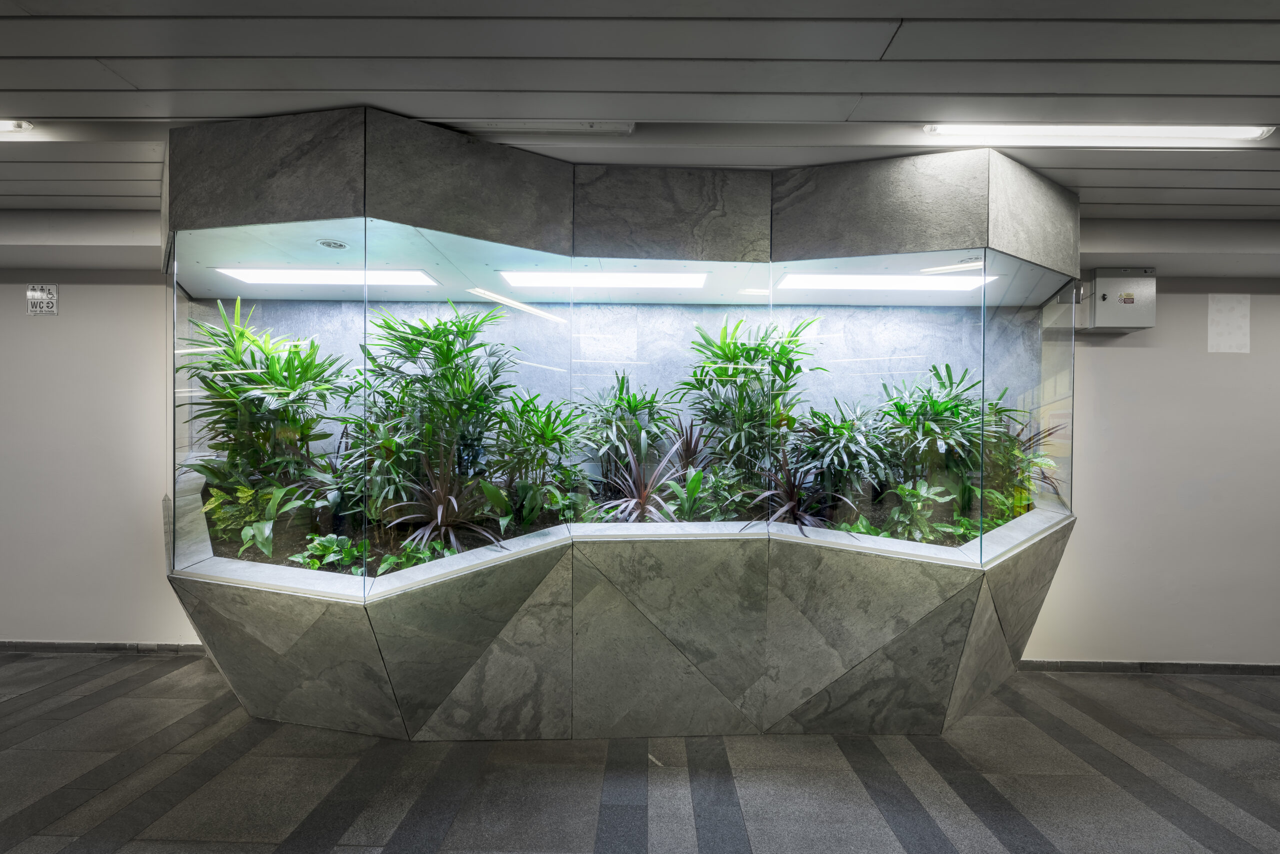 We shed some light on plants at Můstek – natural light for plants inside buildings