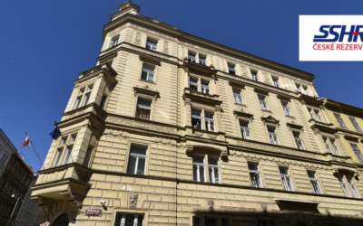 Pro-cognitive Lighting in Public Administration: How Light Transforms SSHR Offices into Healthy and Focused Workspaces