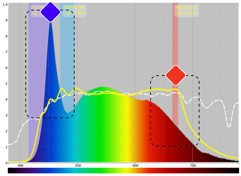 Spectrasol lights competiter